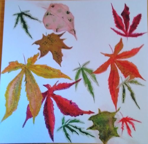 Lynne. Acer leavers from the garden, watercolour.